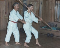 Getting help from Kushi-Sensei, Kyoshi, 8th dan